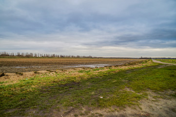 landscape with harvested field and bluw sky in winter