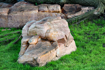 Quartzite boulders provide beauty along Big Sioux River in Sioux Falls, South Dakota