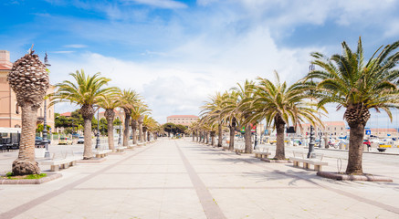 Fototapeta na wymiar Palm alley on a sunny day in ALghero, Sardinia, Italy