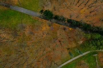 Vista cenital de parque en pleno otoño.