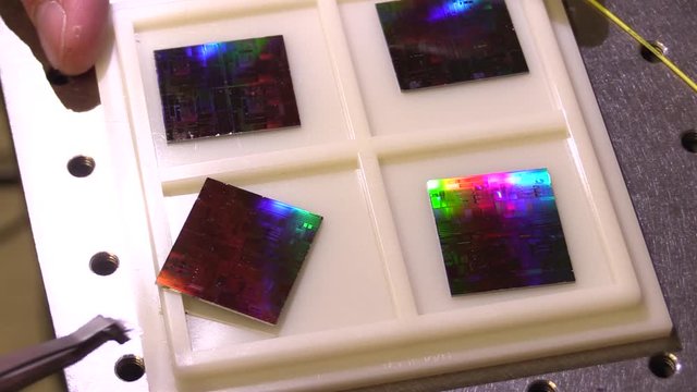 man hand taking photonic chip with tweezers in photonic lab. picking up a chip. four chips on a plate.