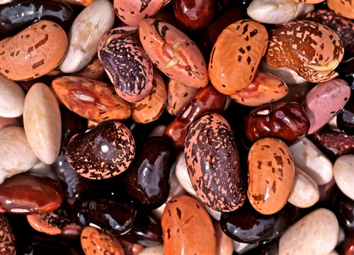 Variety Of Heirloom Beans Washed And Ready To Cook