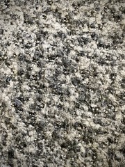 fabric texture of wool stone like 