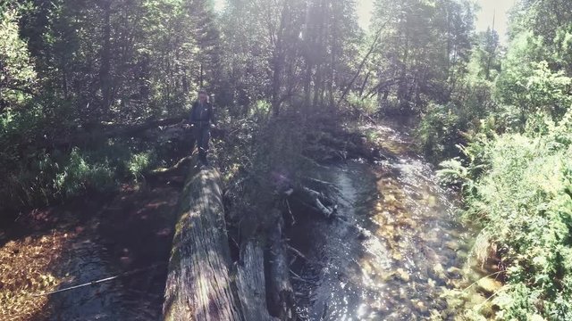 Traveler photographing scenic view in forest river. Wood bridge fallen tree. One caucasian woman shooting nice magic look. Girl take photo video on camera. Photographer travel with backpack. Outdoor.