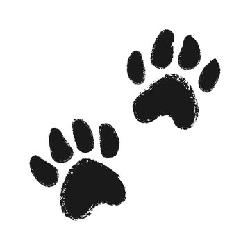 Dog or cat hand drawn paw print.