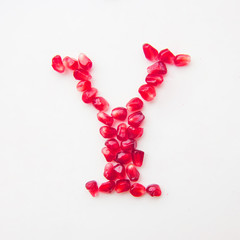 letter Y folded from pomegranate berries on a white background top view