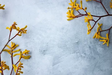 Foto auf Acrylglas Antireflex Yellow flowers kangaroo legs on marbled background © Erik González