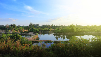 disturbed wetland. natural pond with dirt road construction as a dike for agriculture activities. natural resource richness destroyed by poor water management. subtle man made ecological disaster