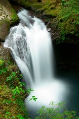 waterfall in forest