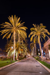 Christmas Celebrations in Palma de Mallorca | Palma en Navidad Mallorca | Spanien Majorca