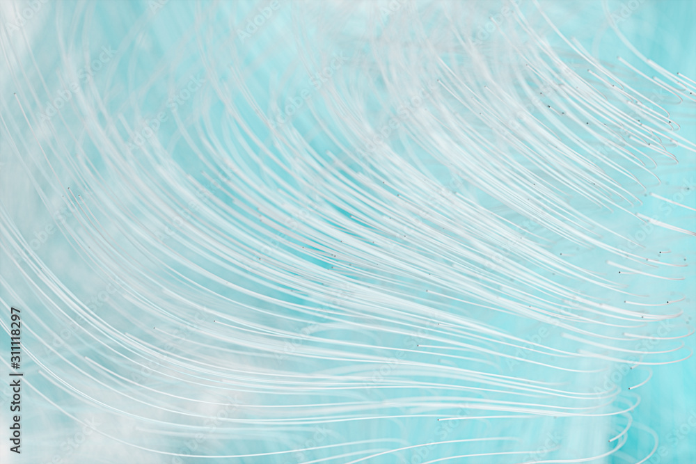 Poster flowing curves with colorful background, 3d rendering.
