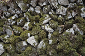 石垣　苔　背景　模様　コケ