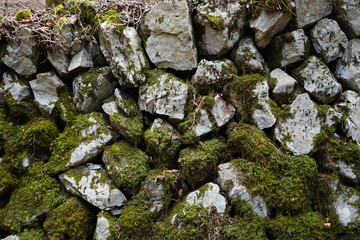 石垣　苔　背景　模様　コケ