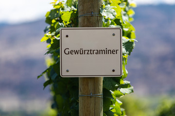 Gewurztraminer wine grape variety sign on wooden pole selective focus, vineyard varieties signs, Okanagan valley wine region British Columbia, Canada