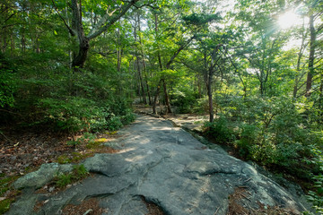 Obraz premium West Rim Loop Trail, Cloudland Canyon State Park, Georgia, USA