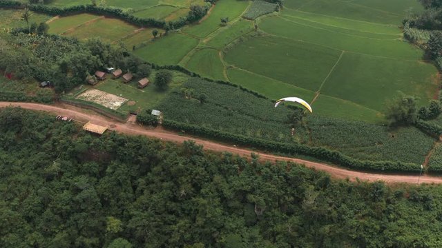 Amazing aerial video of flying paraglider on the background of wild nature. Paraplan drifting above the green tropical trees. Extreme sport. Hipster modern hobby concept. Paraplane flying in the sky.