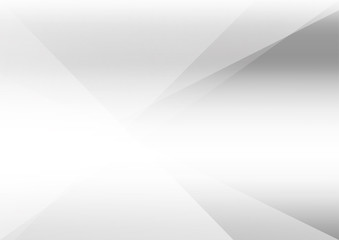 Obraz premium White and grey background Corporate technology modern design Pattern style geometric Abstract modern background used about technology or product presentation backdrop