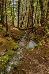 Fundy National Park New Brunswick