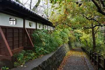 生田緑地の枡形山城址