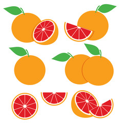 Grapefruit Vector Design Illustration