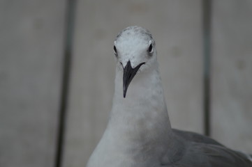 Traveling photos are the best!