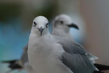 Obraz premium Traveling photos are the best!