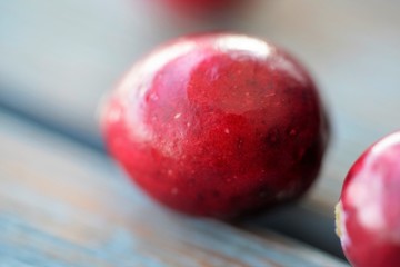 Macro view on group of bright glossy red cranberries on wooden surface