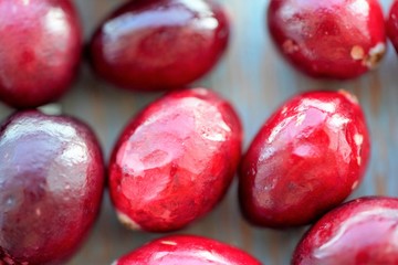 Macro view on group of bright glossy red cranberries on wooden surface