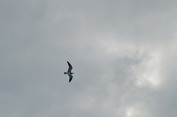 Traveling photos are the best!