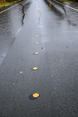 Street with water flooding from both sides, yellow center line dots, still raining