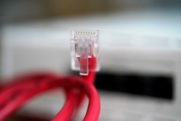 red network cable and rj 45 plug