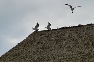 Traveling photos are the best!