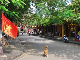 vietnamese flag in a street