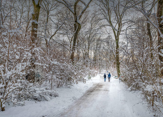Fototapeta na wymiar couple in the winter woods on a walk through the snow