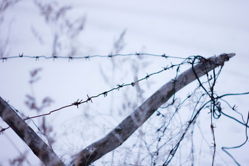 barbed wire fence