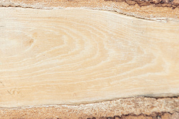 Natural wooden background. Wood texture. Wood texture for design and decoration.