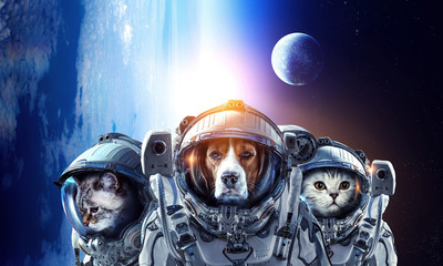 First trip to space. Mixed media