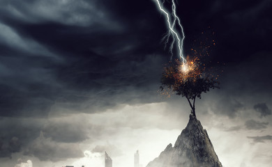 Bright lightning hit the tree