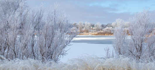 rime ice 