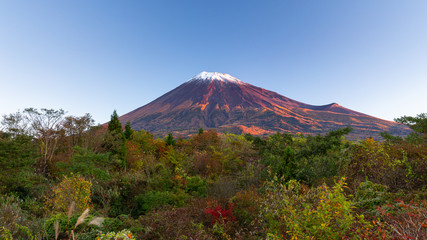 富士山 / Mt.Fuji