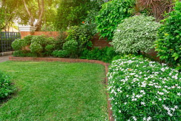 English cottage garden, flowering plant on green grass lawn with orange brick wall and group of evergreen trees on background, in good care maintenance landscaping of a park