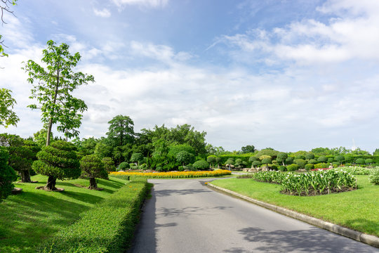 Beautiful English cottage garden, colorful flowering plant on smooth green grass lawn with orange brick wall and group of evergreen trees on background, in good care maintenance landscaping of a park