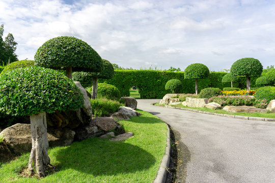 Beautiful English cottage garden, colorful flowering plant on smooth green grass lawn with orange brick wall and group of evergreen trees on background, in good care maintenance landscaping of a park