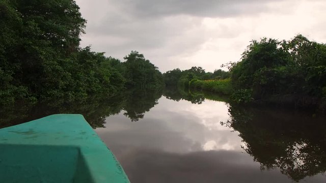 Views of clouds,river and tress riding on a river boat at Caroni Bird Sanctuary on the island of Trinidad.