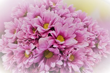 beautiful pink bouquet