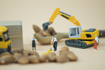 Miniature people worker move and select almonds for import and export.