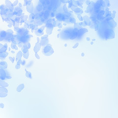 Dark blue flower petals falling down. Unusual roma