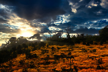 Horton Plains is one of Sri Lanka's most popular National Parks
