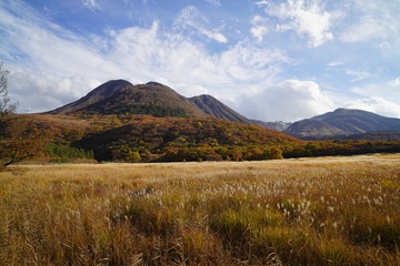 タデ原湿原　紅葉　大分県玖珠郡九重町