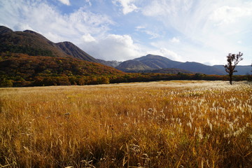 タデ原湿原　紅葉　大分県玖珠郡九重町